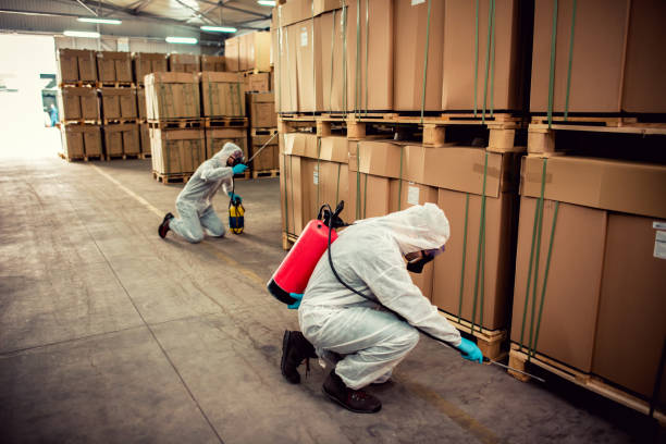 Professional Pest Control in Woodside, PA
