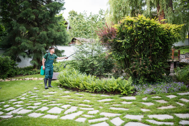 Best Pest Prevention Services  in Woodside, PA